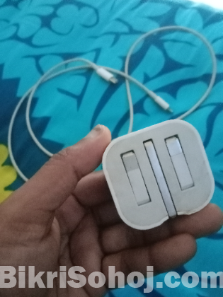 Apple Charger + Cable